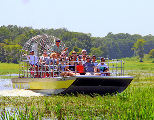 Wild Florida Airboat Ride with Transportation in Orlando, Florida
