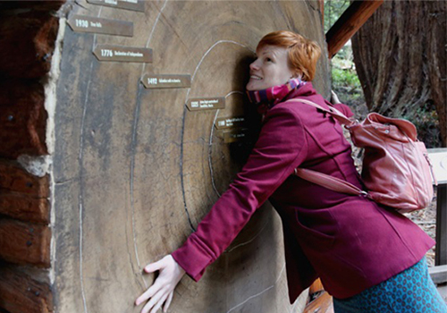 Muir Woods and Sonoma Wine Country Day Tour in San Francisco, California