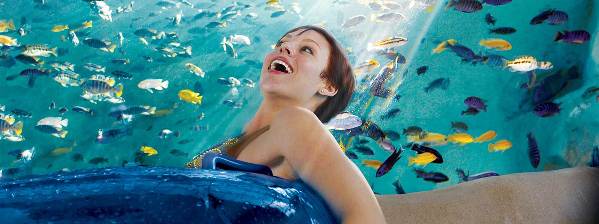 Aquatica Orlando - SeaWorld's Water Park in Orlando, Florida