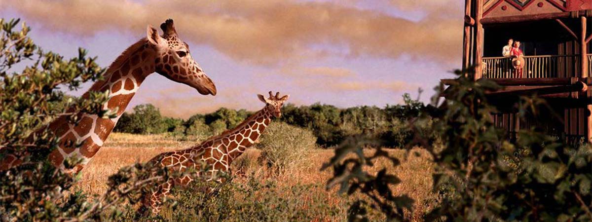 Disney's Animal Kingdom Lodge in Lake Buena Vista, Florida