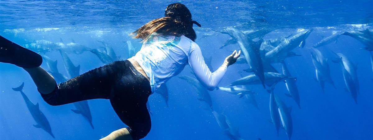 Dolphins and You in Waianae, Hawaii