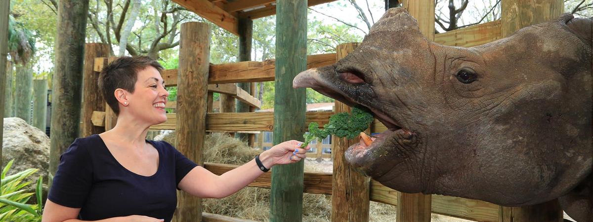 ZooTampa at Lowry Park in Tampa, Florida