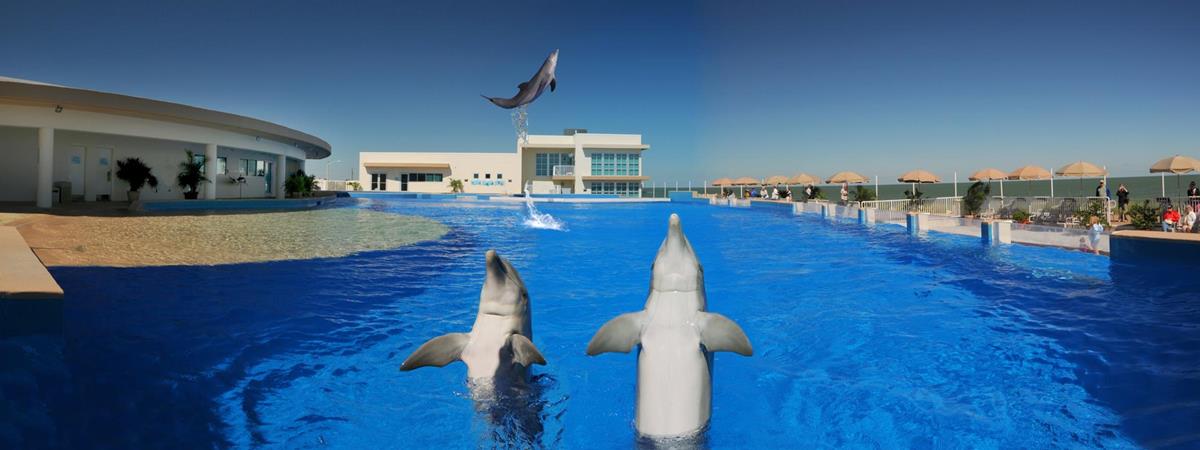 Marineland Dolphin Adventure in St. Augustine, Florida