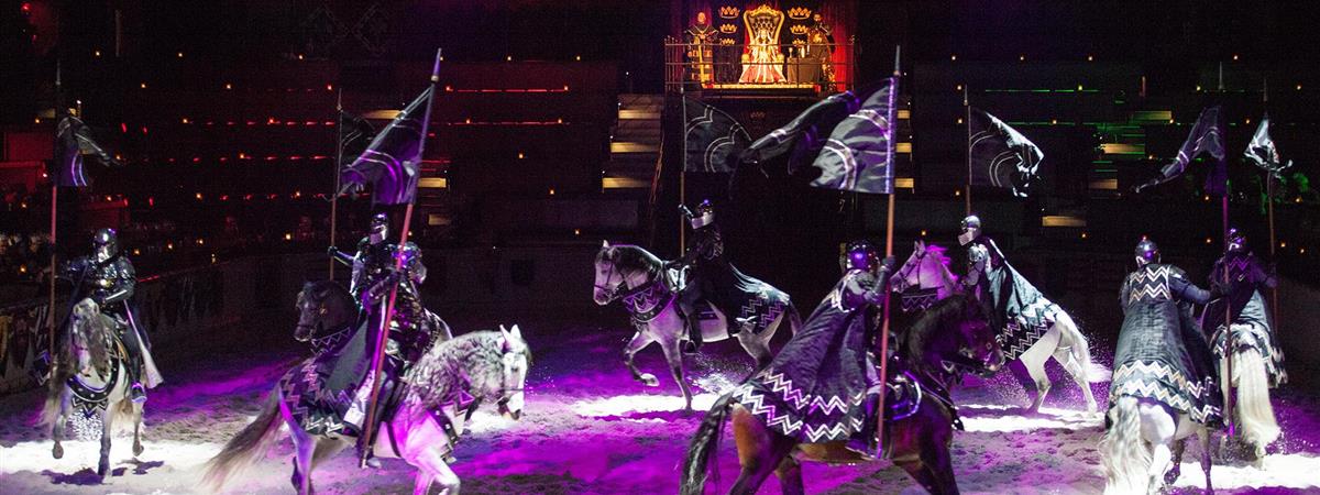 Medieval Times Dinner and Tournament California in Buena Park, California