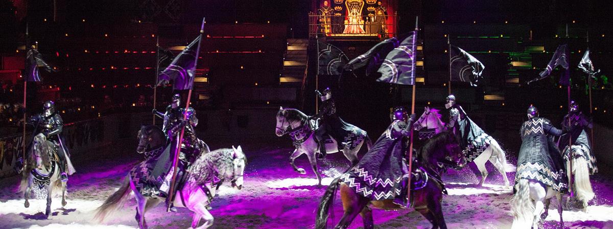 Medieval Times Dinner and Tournament Illinois in Schaumburg, Illinois