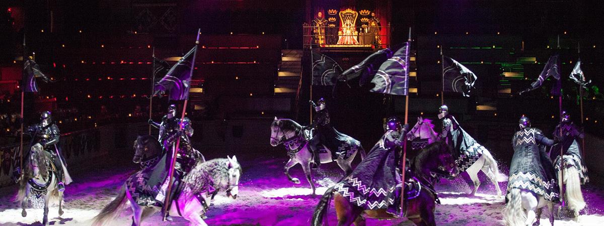 Medieval Times Dinner & Tournament Myrtle Beach in Myrtle Beach, South Carolina
