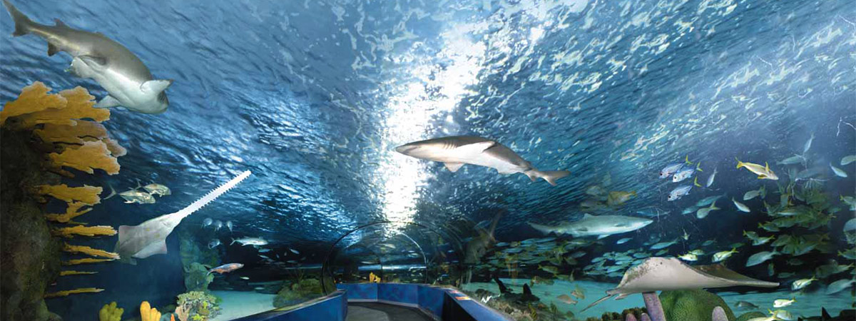 Ripley's Aquarium of Myrtle Beach in Myrtle Beach, South Carolina