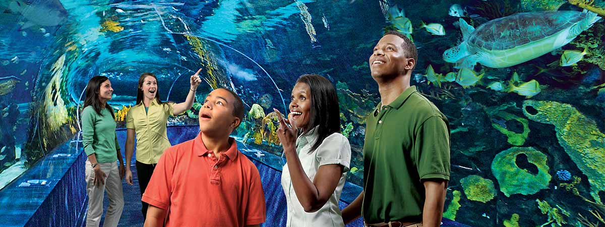 Ripley's Aquarium of the Smokies in Gatlinburg, Tennessee