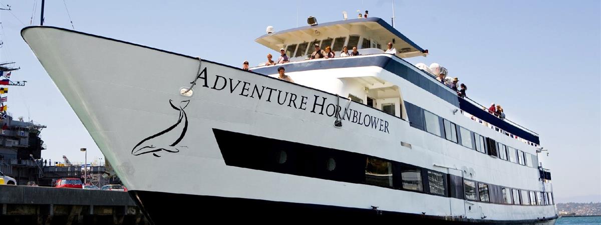 San Diego Whale and Dolphin Watching Cruise in San Diego, California