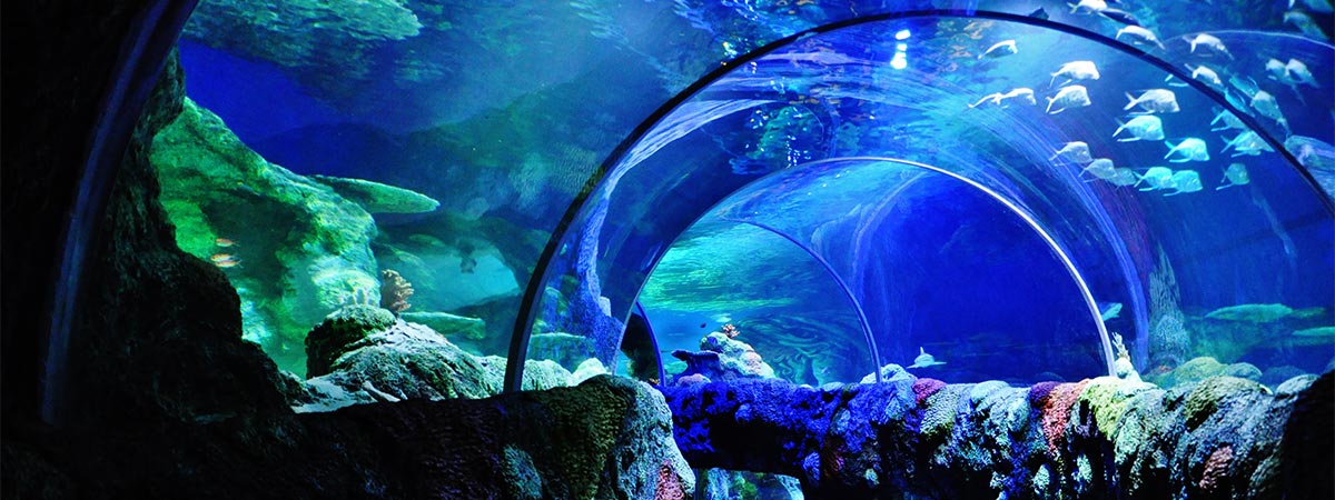 SEA LIFE Charlotte-Concord in Concord, North Carolina