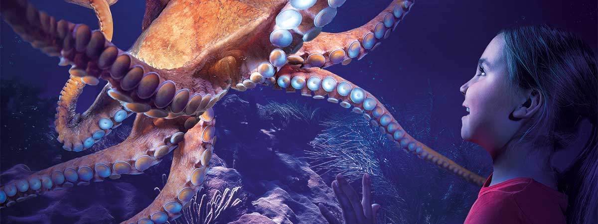 SEA LIFE Orlando Aquarium in Orlando, Florida