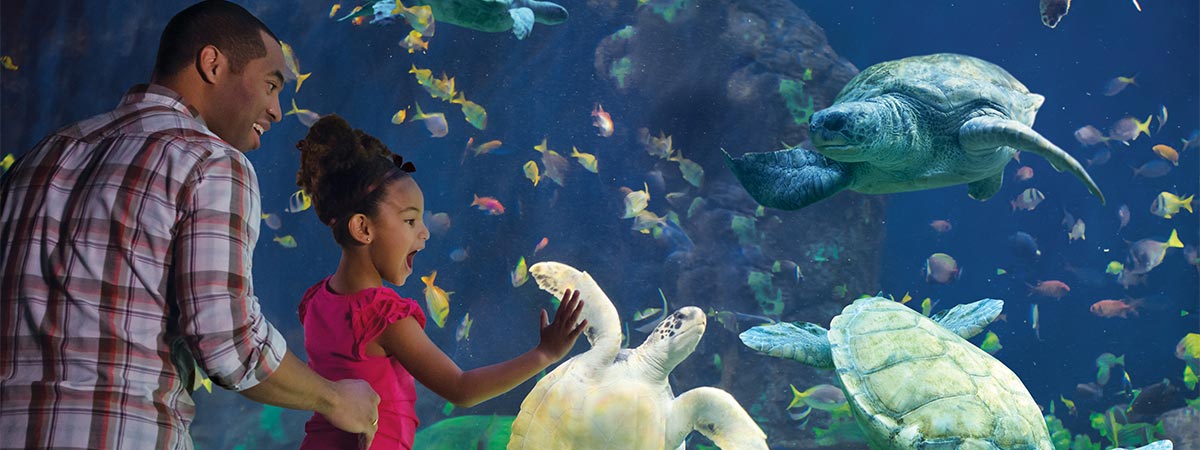 SeaWorld San Diego in San Diego, California