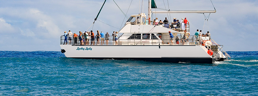 Imiloa Express Whale Watching Cocktail Tour in Eleele, Kauai, Hawaii