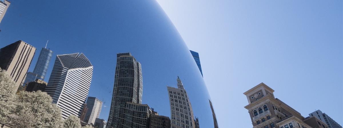 Welcome to Chicago: Private Half-Day Tour with 360 Observation Deck in Chicago, Illinois